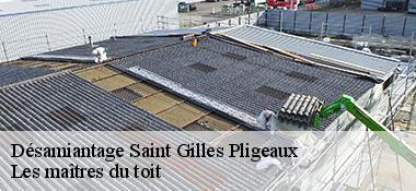 Désamiantage  22480