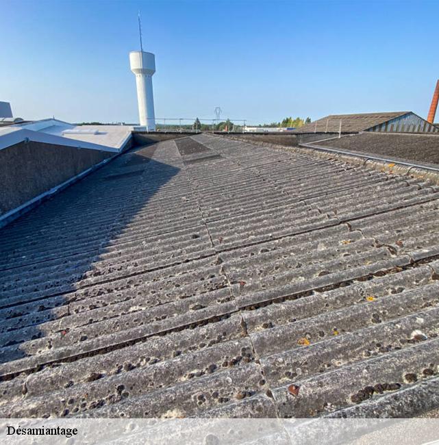 Désamiantage  22720