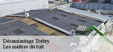 Désamiantage  22510