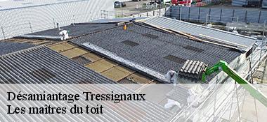 Désamiantage  22290