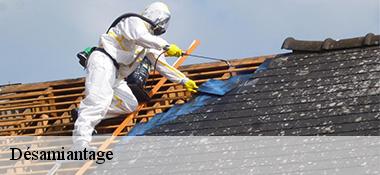Désamiantage  22810