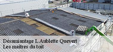 Désamiantage 22100