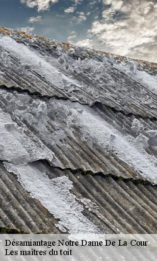 Désamiantage  22410