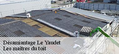 Désamiantage  22300