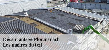 Désamiantage  22700