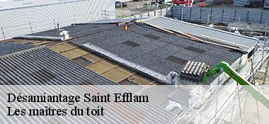 Désamiantage  22310